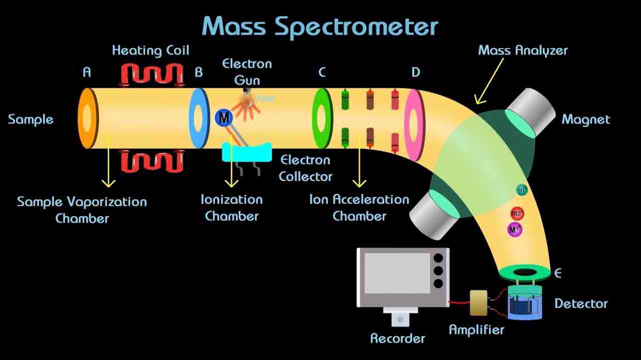 Introduction to Mass Spectrometry